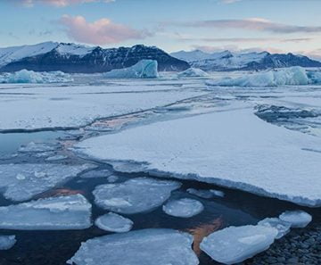 5e62ce9b8ebc3 1 360x297