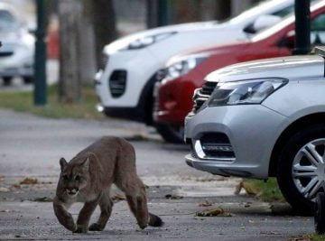 5e824b2559bf5b714d5bc27b e1586275129359 1 360x267