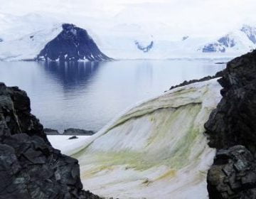 4YB52M3MZFABFEOGVCRRCUJJAM e1590511954797 1 360x280