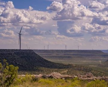 FOTO 620x410 e1590423966959 1 360x291