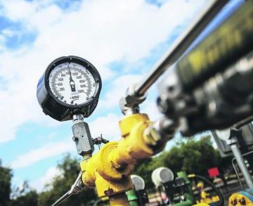 SSKHEHGMWNFOZMI5FDAGJNYRU4 e1589388626988 1 360x293