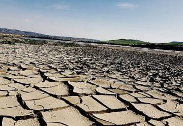 Fotonoticia 20200505102410 1024 e1588693784221 1 360x248