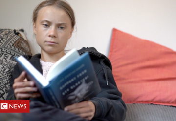 112970879 greta1 e1592844953512 1 360x248