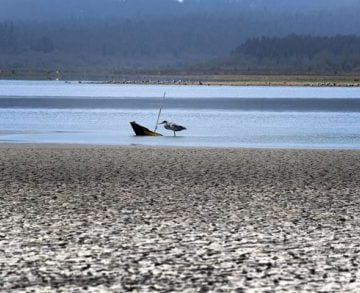 Foto 0000000320200617174018 e1592498705856 1 360x293