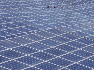 Dona Carmen copia e1597854312328 360x268