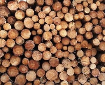 Lena madera seca e1597267606539 360x292