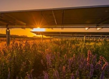 Agrifotovoltaico 2400x1160 768x371 e1614611148649 1 360x263