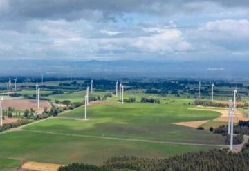 Captura 7 e1619629669976 1 360x248