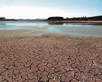 Captura 2 e1621270421816 1 360x291