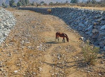 Foto 0000000120210809191842 e1628633430557 1 360x265