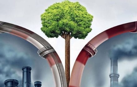 Captura 2 e1634825250744 1