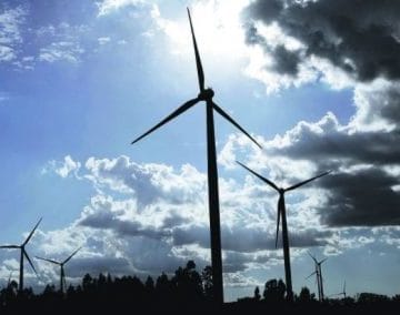 Captura e1641841495963 1 360x284