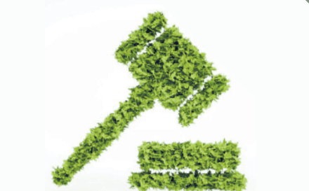 Diseno sin titulo 29