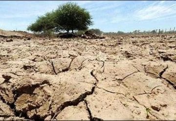 Sequia e1645794233806 360x248