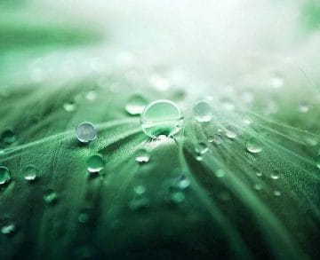 W7UO7G24FFCMNJ6DVE4NCOJ7B4 e1645023155424 1 360x293