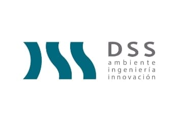 DSS