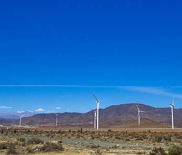 Istockphoto 166373311 612x612 1 1 360x306