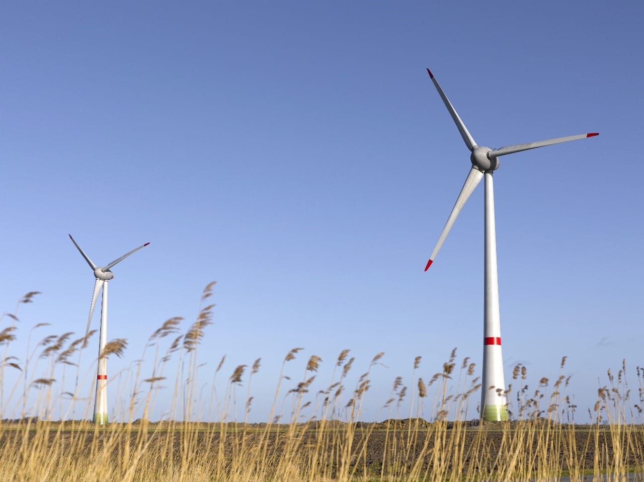 WhatsApp Image 2023 01 11 at 13 56 18 1